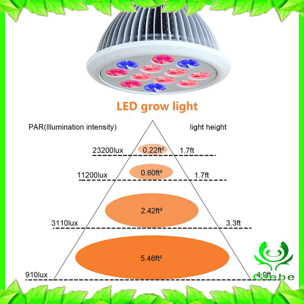 New Design 36W LED Grow Light Panel Red Blue Lighting for Indoor Plants Seedling Growing Flowering